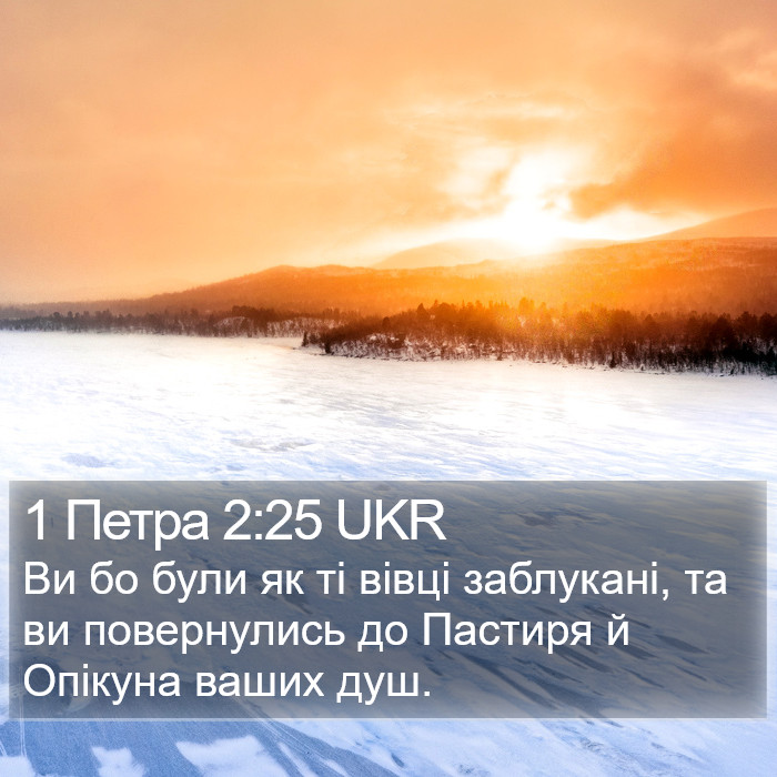 1 Петра 2:25 UKR Bible Study