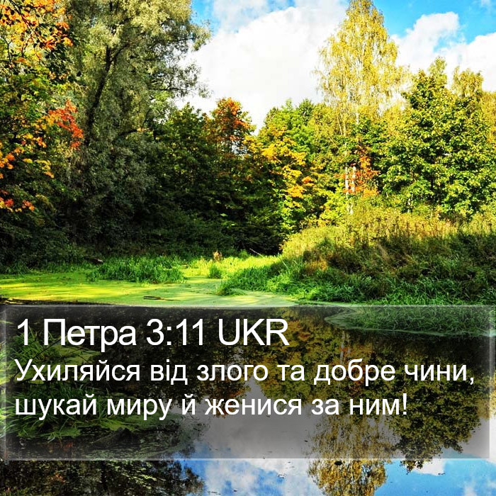 1 Петра 3:11 UKR Bible Study