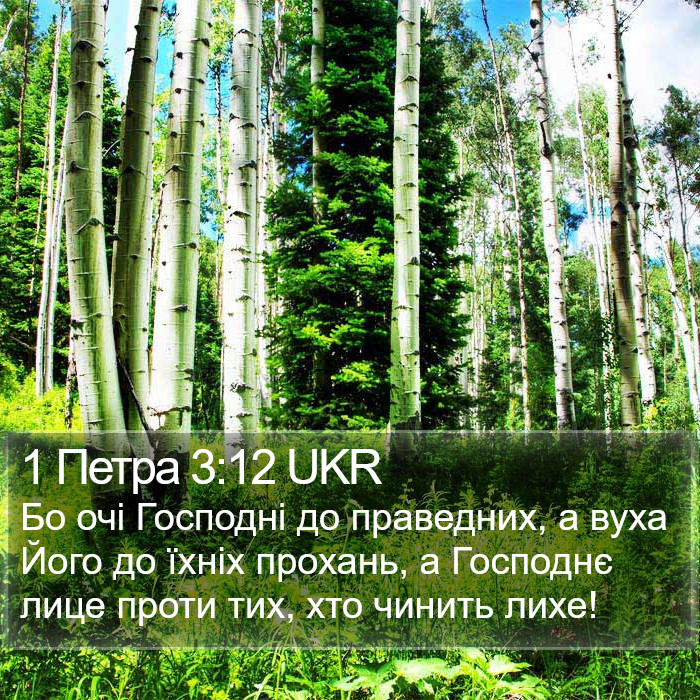 1 Петра 3:12 UKR Bible Study