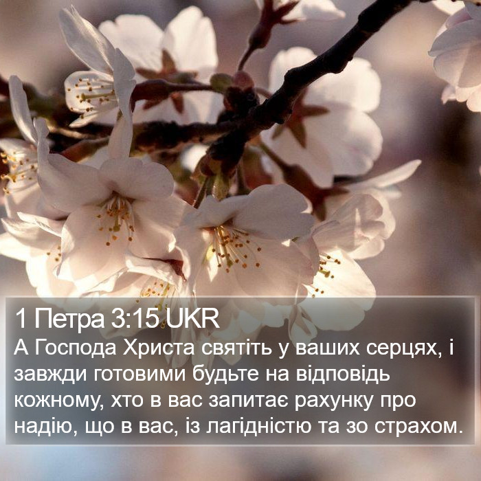 1 Петра 3:15 UKR Bible Study
