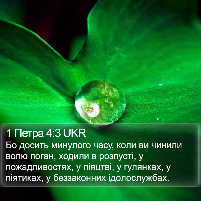 1 Петра 4:3 UKR Bible Study