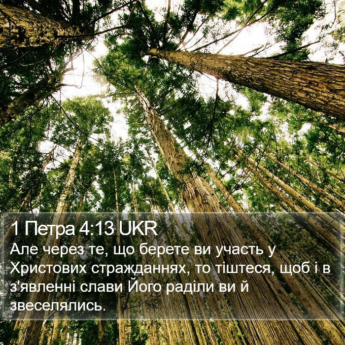 1 Петра 4:13 UKR Bible Study