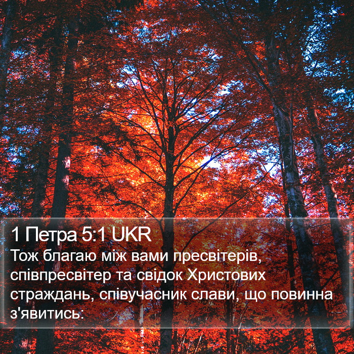 1 Петра 5:1 UKR Bible Study