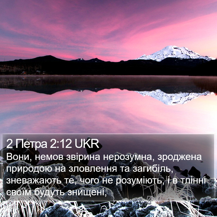 2 Петра 2:12 UKR Bible Study