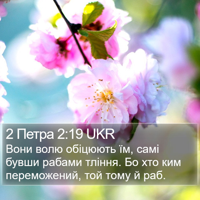 2 Петра 2:19 UKR Bible Study