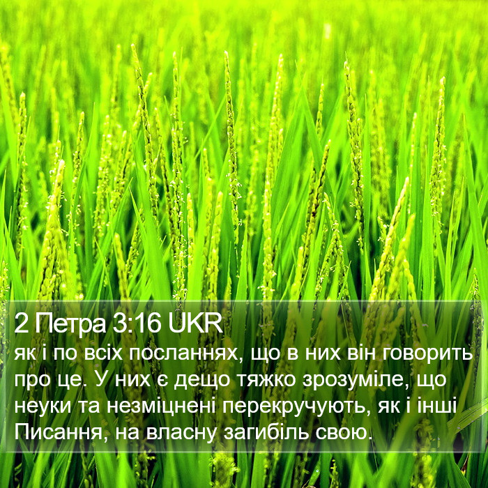 2 Петра 3:16 UKR Bible Study