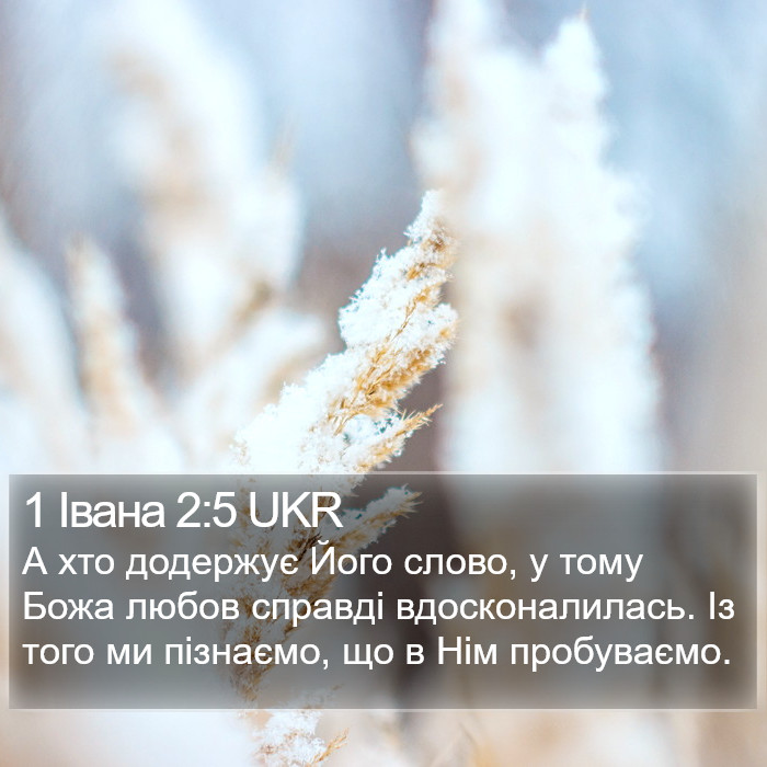 1 Івана 2:5 UKR Bible Study
