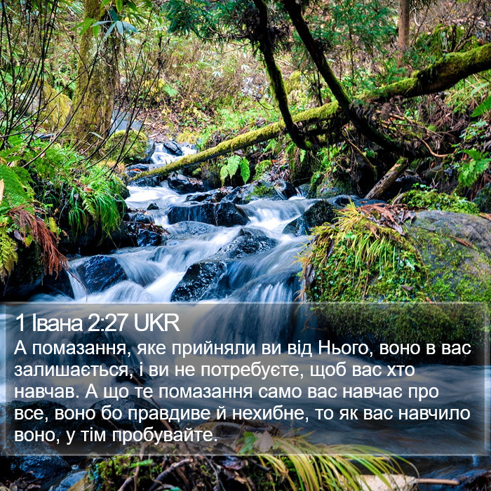 1 Івана 2:27 UKR Bible Study