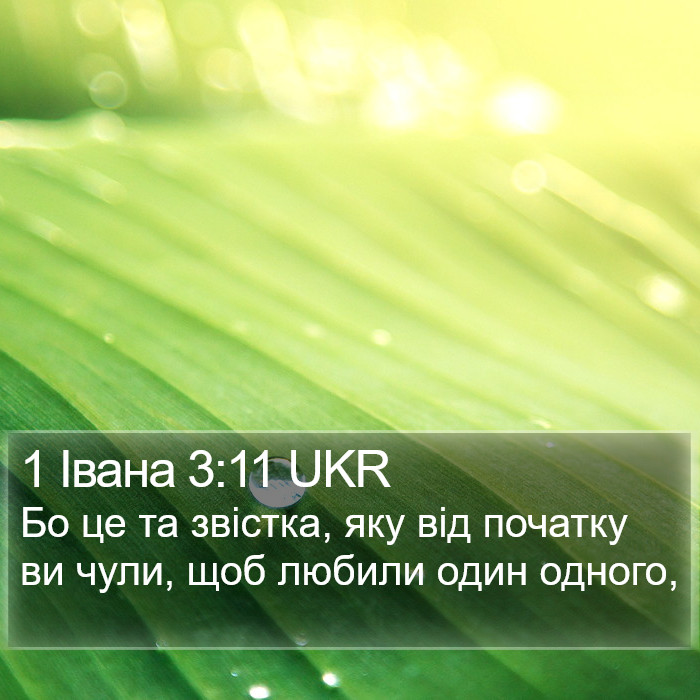 1 Івана 3:11 UKR Bible Study
