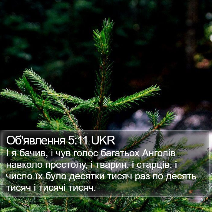 Об'явлення 5:11 UKR Bible Study