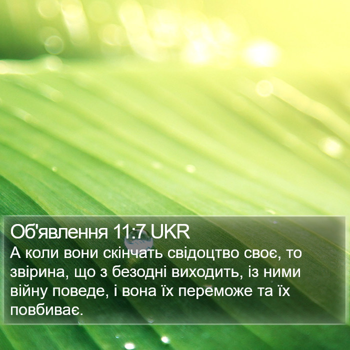 Об'явлення 11:7 UKR Bible Study