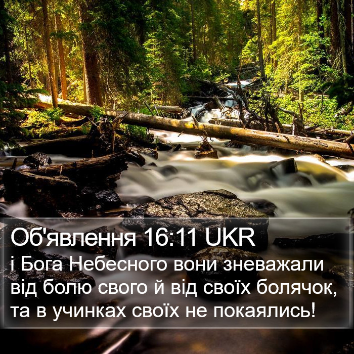 Об'явлення 16:11 UKR Bible Study