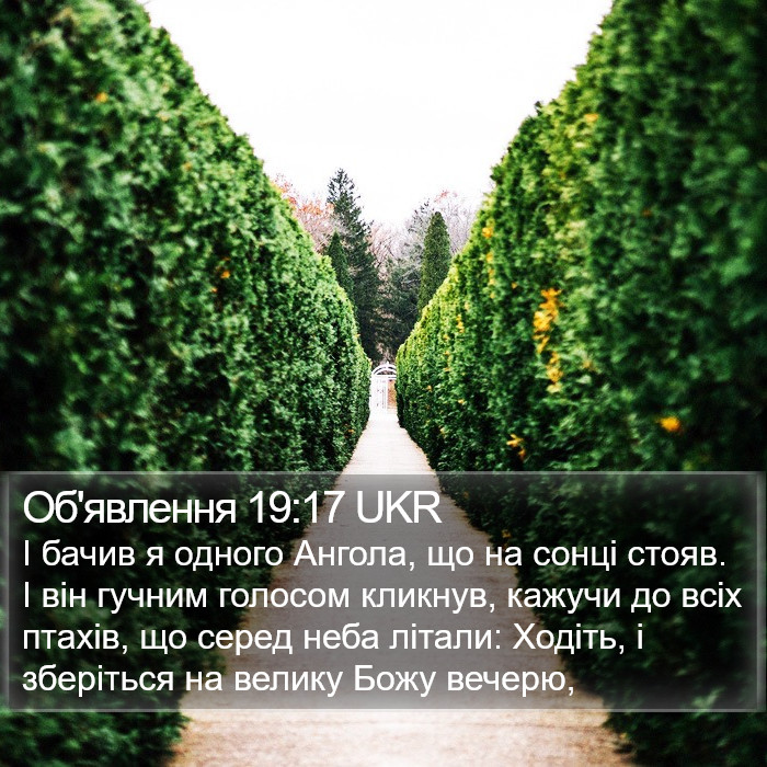 Об'явлення 19:17 UKR Bible Study