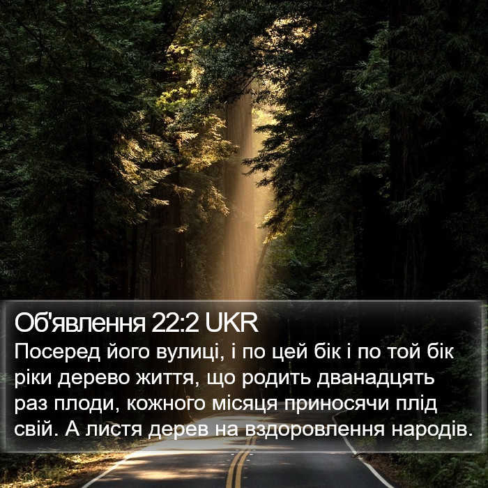 Об'явлення 22:2 UKR Bible Study
