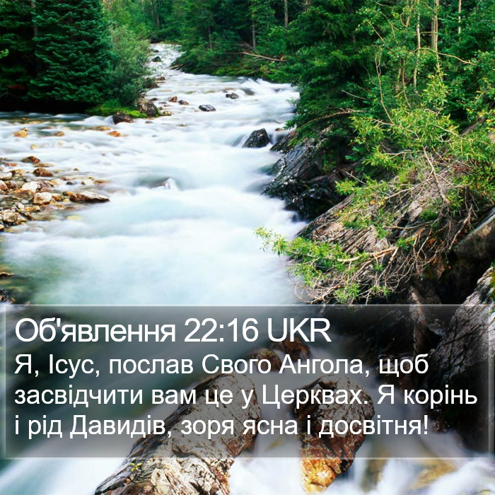 Об'явлення 22:16 UKR Bible Study